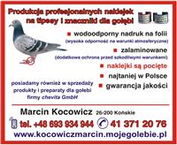 Zdjęcie główne