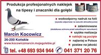 Zdjęcie główne