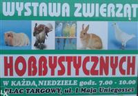 Zdjęcie główne