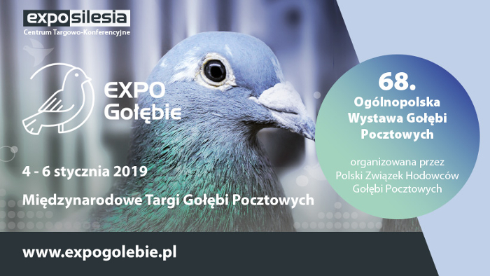 Expo Gołębie 2019