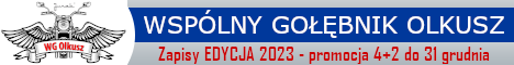 Wspólny gołębnik Olkusz