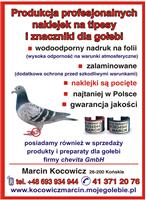 Zdjęcie główne