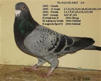 Zdjęcie główne